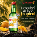 Mercatus9 P16483 OPP04 — Promoción V2 1