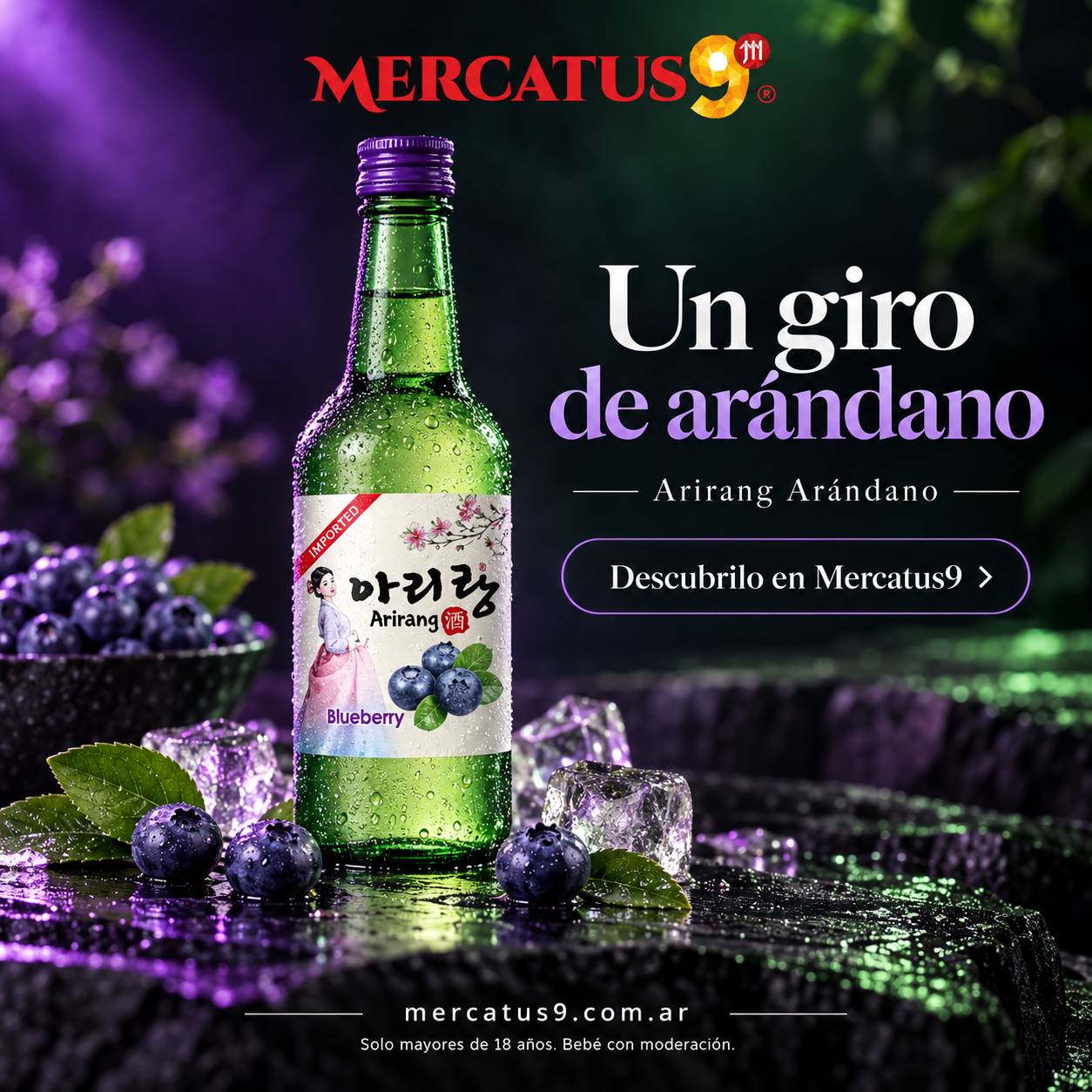 Bebida alcohólica mixta sabor arandano 360ml — Mercatus9, vista 1