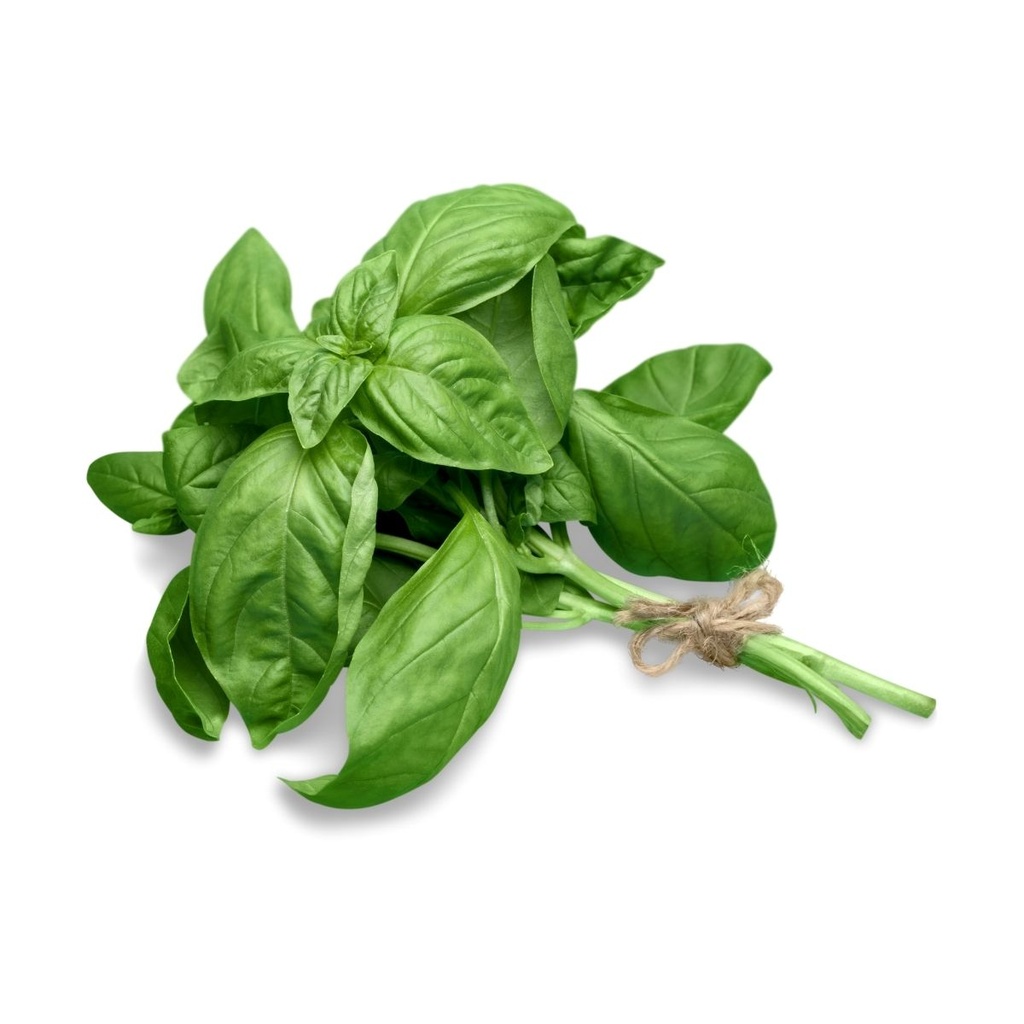 VERDULERIA - ALBAHACA