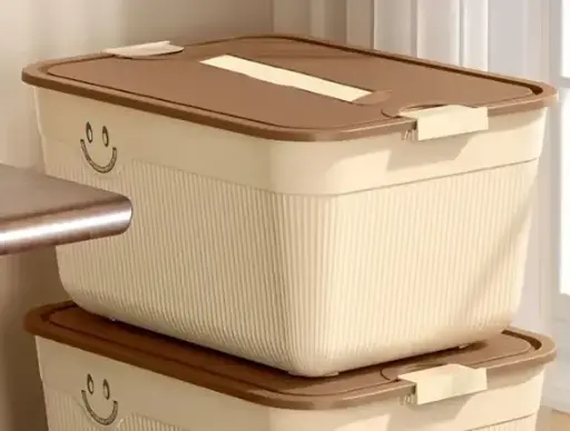 [H4.1.3CN-QQYL029815] CAJA ORGANIZADORA P ALTO  