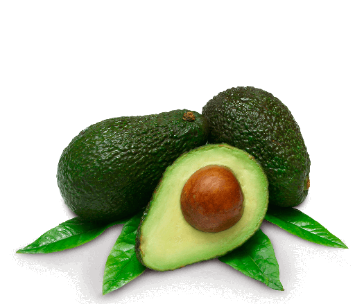 [A1.2.1-01065] VERDULERIA - PALTA